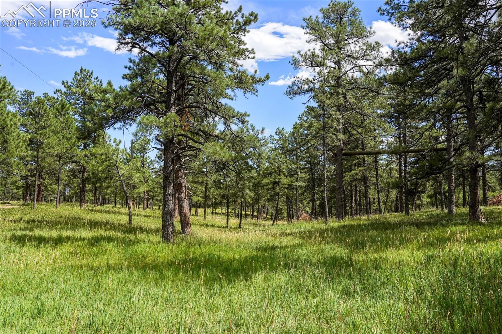 Photo 8 of 325 Pine Oaks Road, Colorado Springs