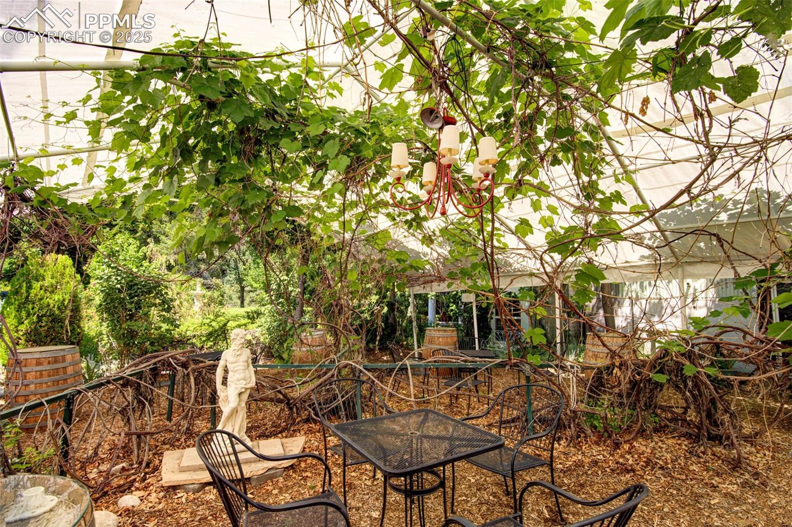 Secret Garden: Wine Vineyard