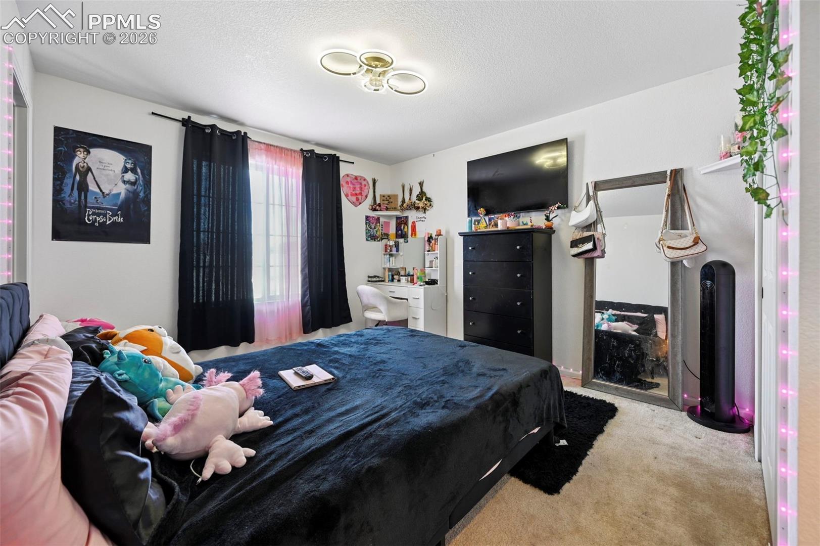 Room featuring a window with natural light, wall-mounted television, ceiling light fixture, and carpet flooring