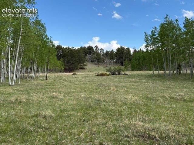 Featured Homes Featured Homes