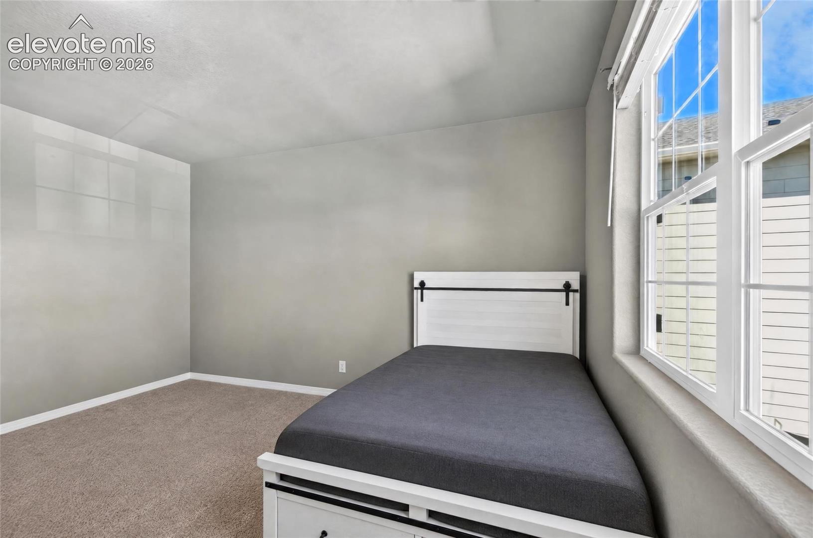 Carpeted flooring with a neutral wall color and multiple windows