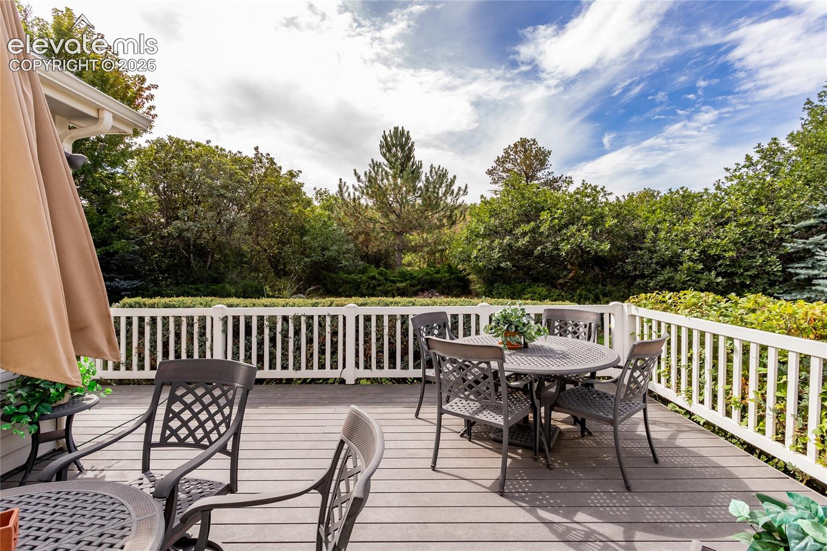 Deck and the back yard are very private! 