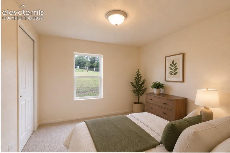 Neutral wall tones, wall-to-wall carpeting, dual-panel closet door, and centered flush-mount light fixture