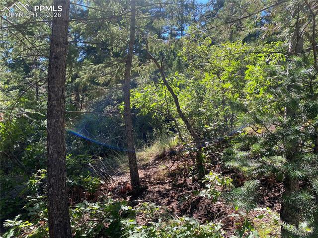 231 Upper Sun Valley Rd, Manitou Springs, CO 80829