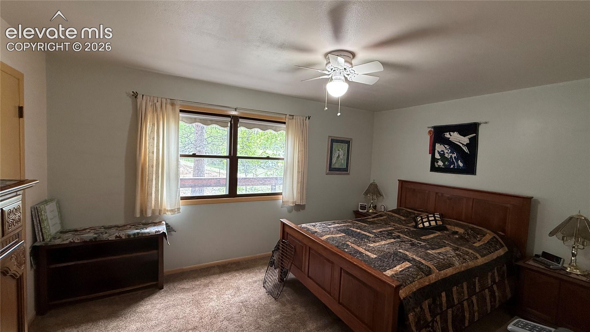 Carpeted bedroom featuring a large window with wood trim, a ceiling fan with light fixture, and light-toned walls