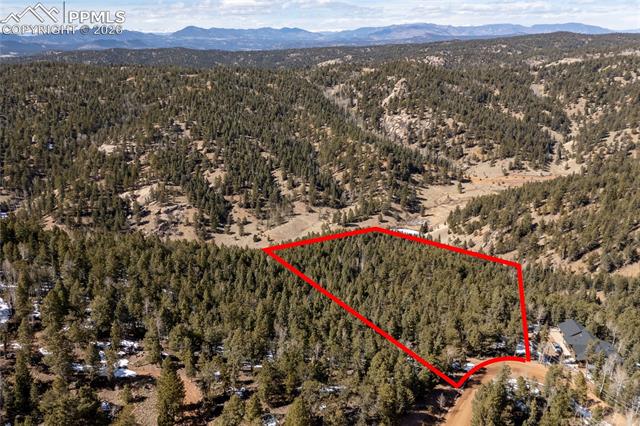 81 Haven Rd, Divide, CO 80814