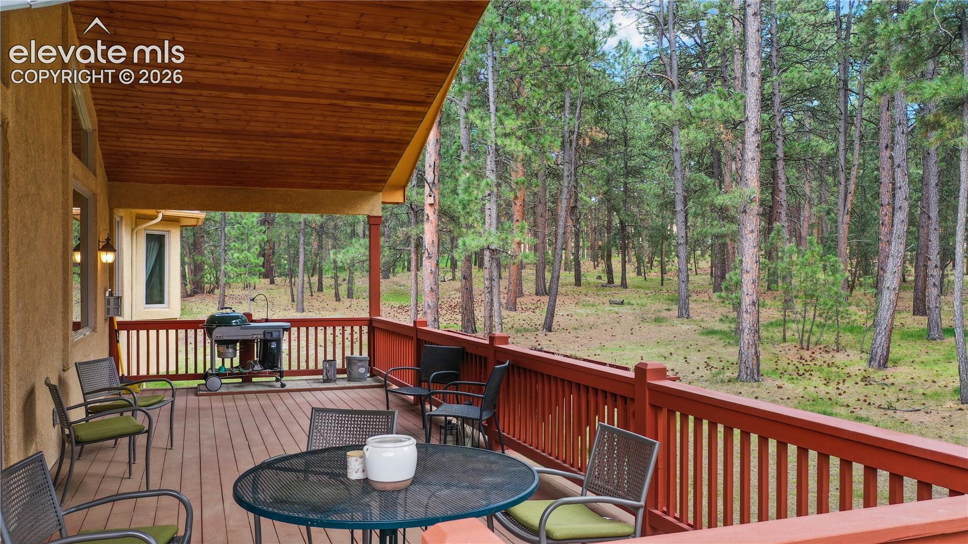 Photo 45 of 4235 Slash Pine Drive, Colorado Springs