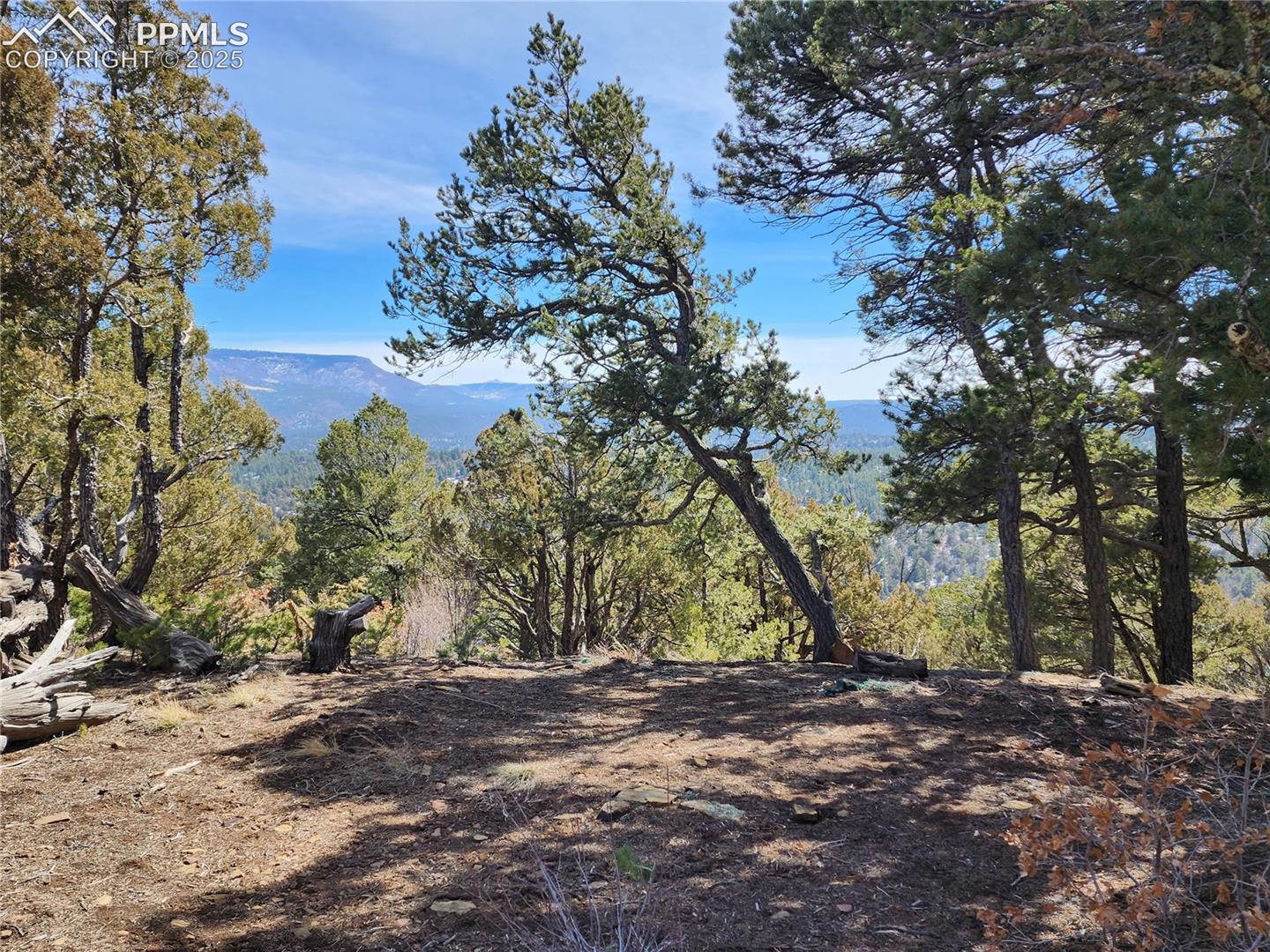 View of mountain background with a heavily wooded area