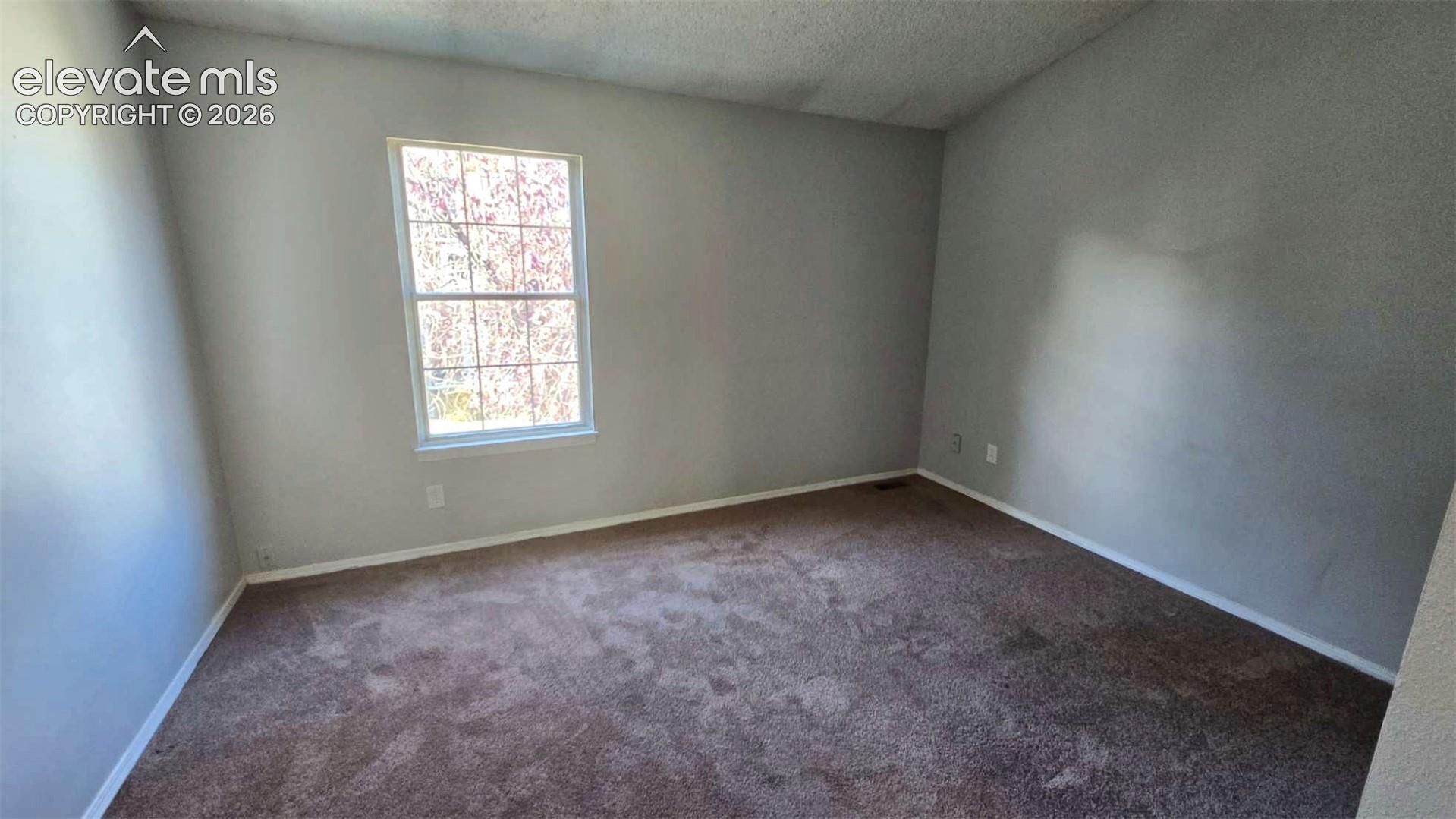 Room featuring neutral wall tones, wall-to-wall carpeting, and a grid-pattern window