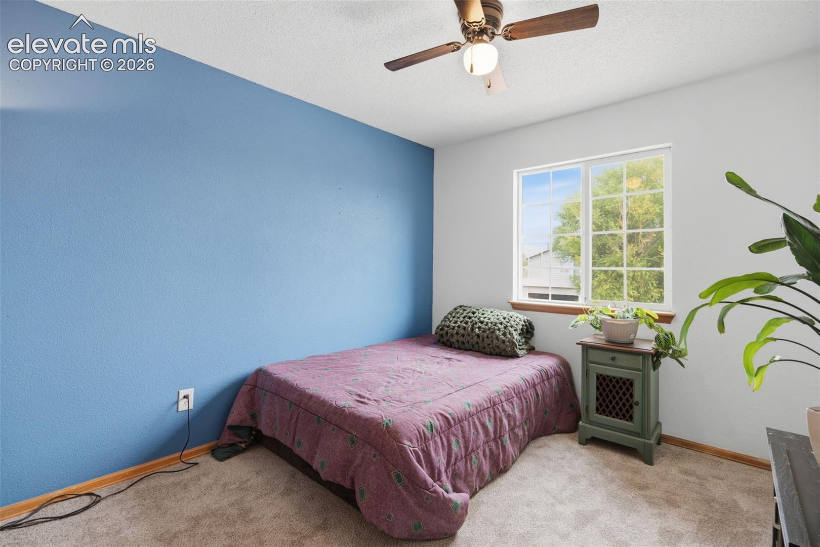 Carpeted room with a ceiling fan, a window, and a blue accent wall