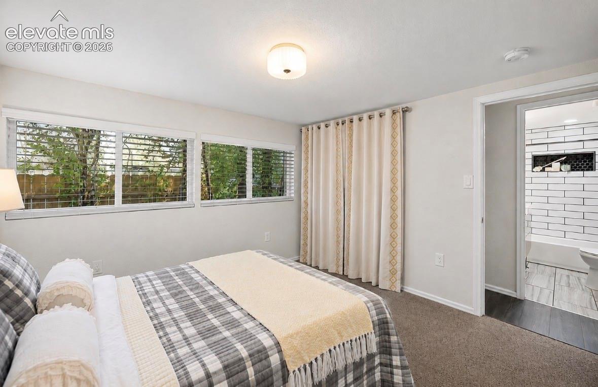Bedroom featuring light gray walls, plush carpeting, multiple windows with horizontal blinds, and a ceiling-mounted light fixture