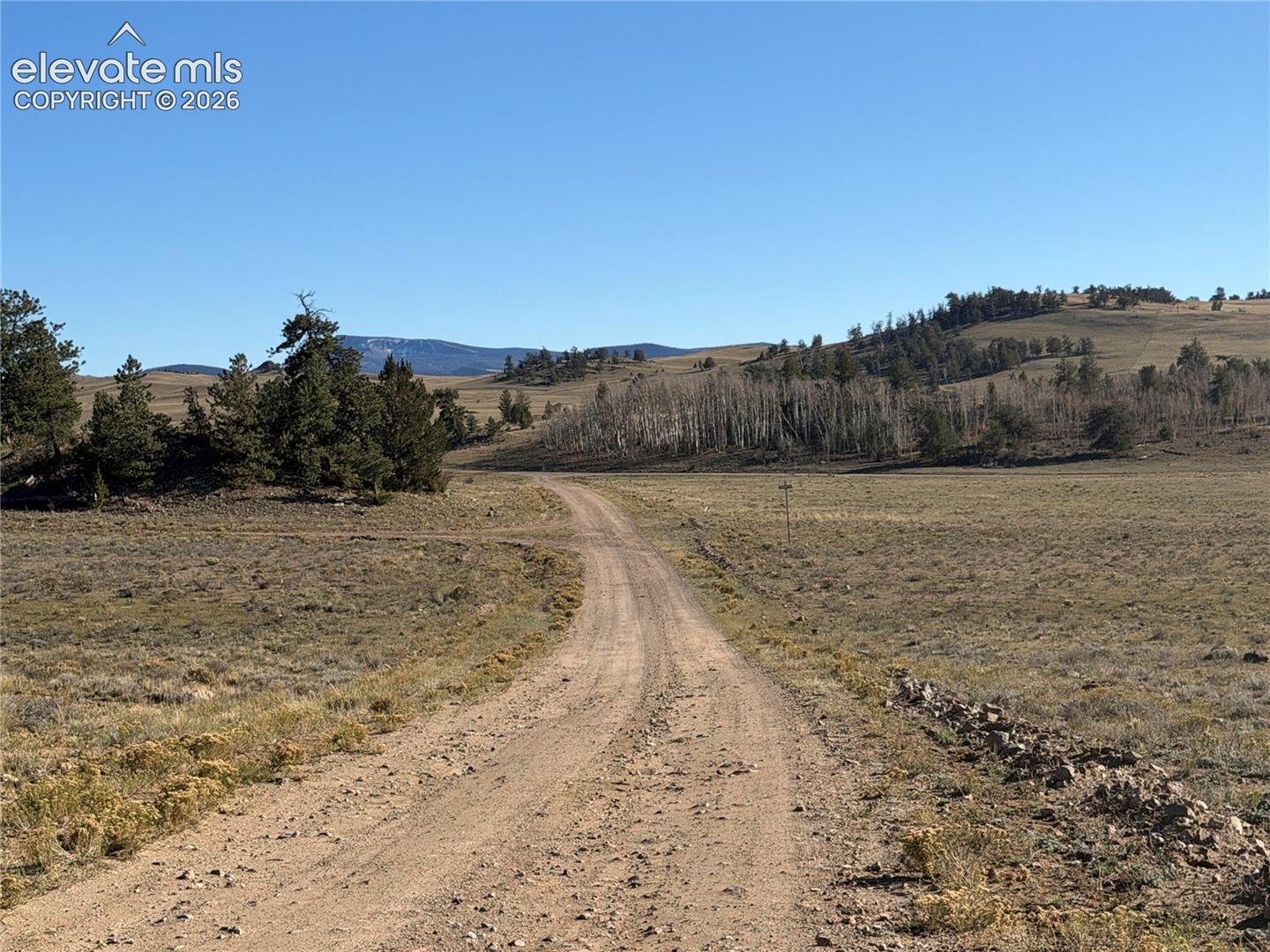 Unimproved dirt access road spanning expansive, open terrain featuring native grasses, mature evergreen clusters, and mountain backdrops