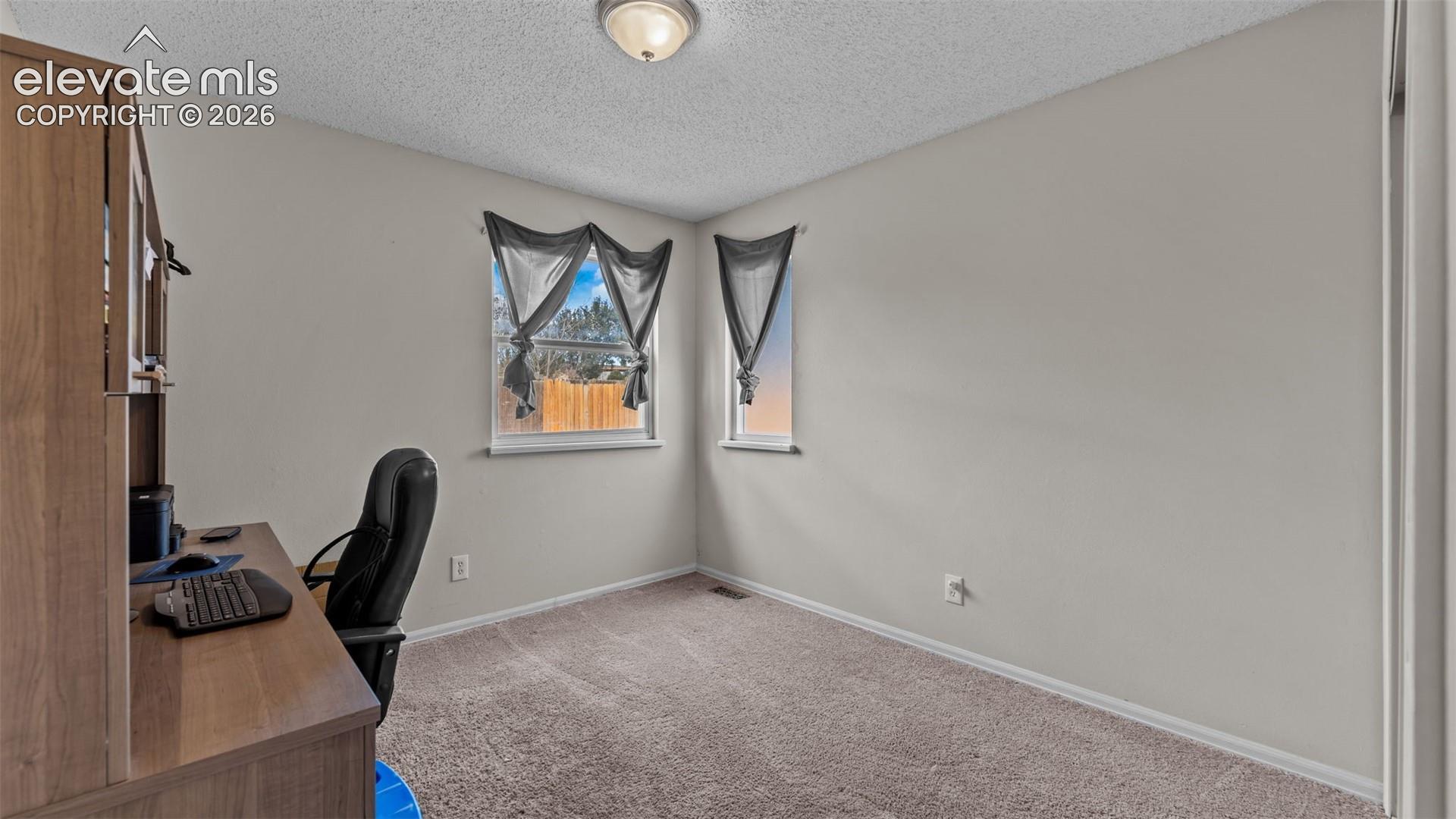 Neutral-toned interior space featuring wall-to-wall carpeting, dual windows with exterior exposure, and a flush-mount ceiling fixture