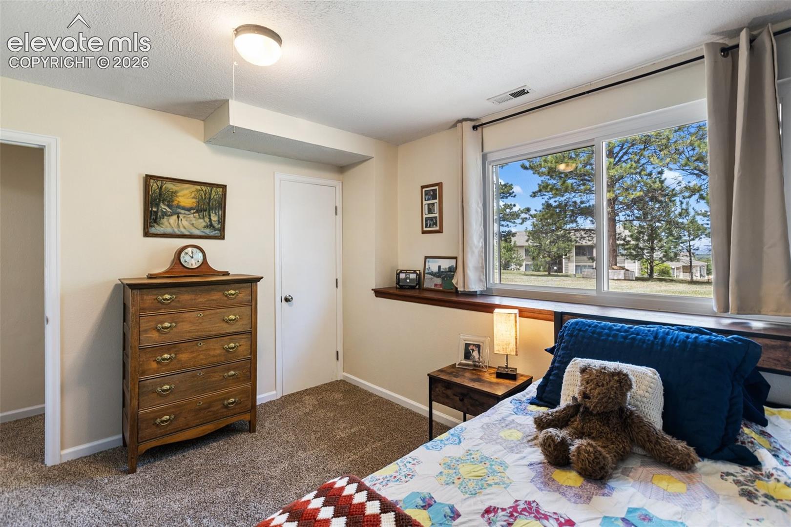 Photo 34 of 1010 W Bowman Avenue, Woodland Park