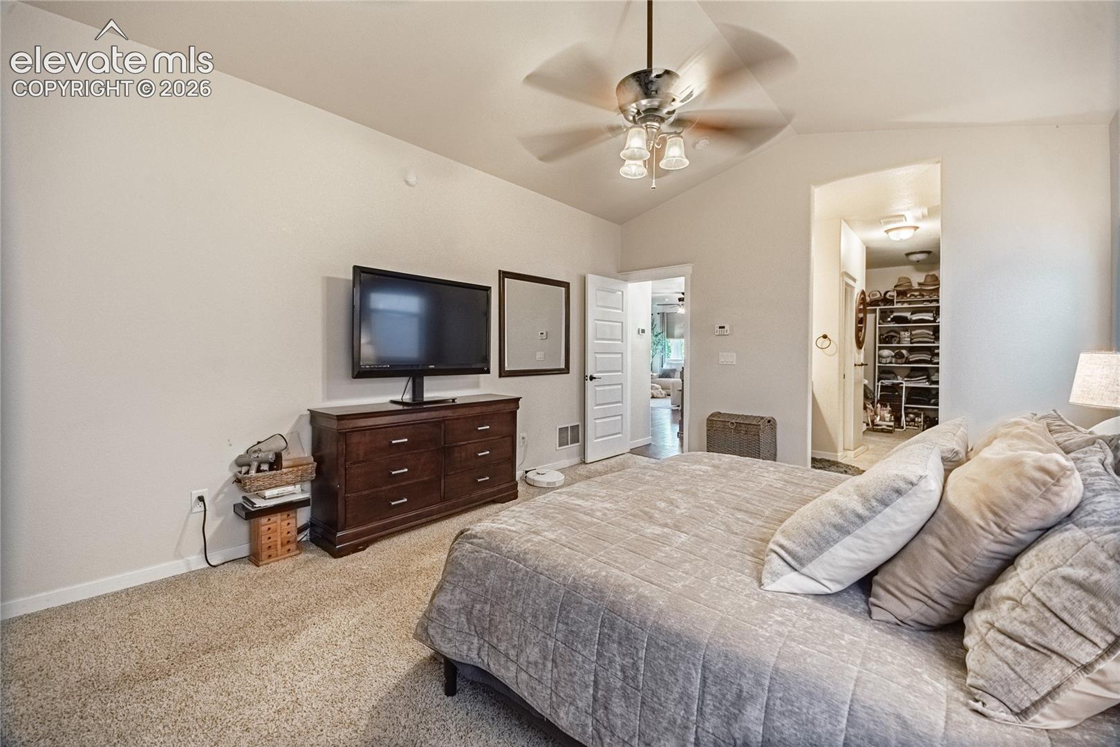 Vaulted ceiling featuring a central lighted ceiling fan, neutral carpeting, and a walk-in closet with built-in shelving