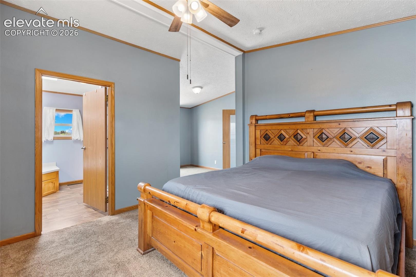 Carpeted interior space featuring light blue wall paint and wood trim