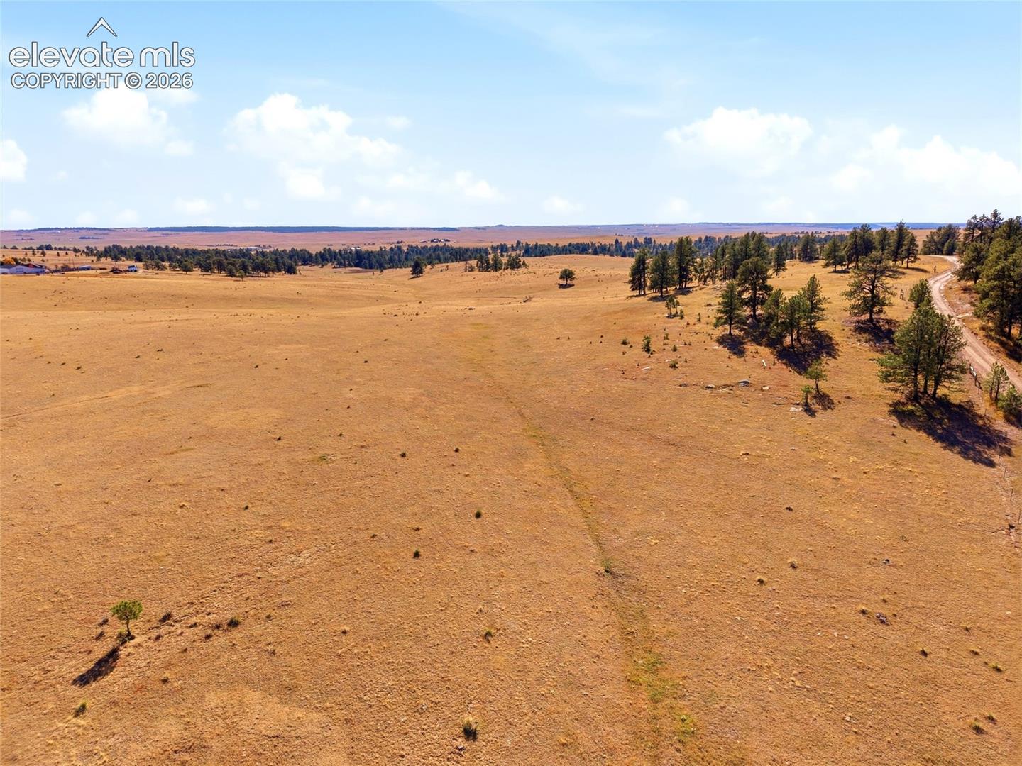 Expansive acreage featuring rolling topography, stands of mature pine trees, and an unimproved dirt access path