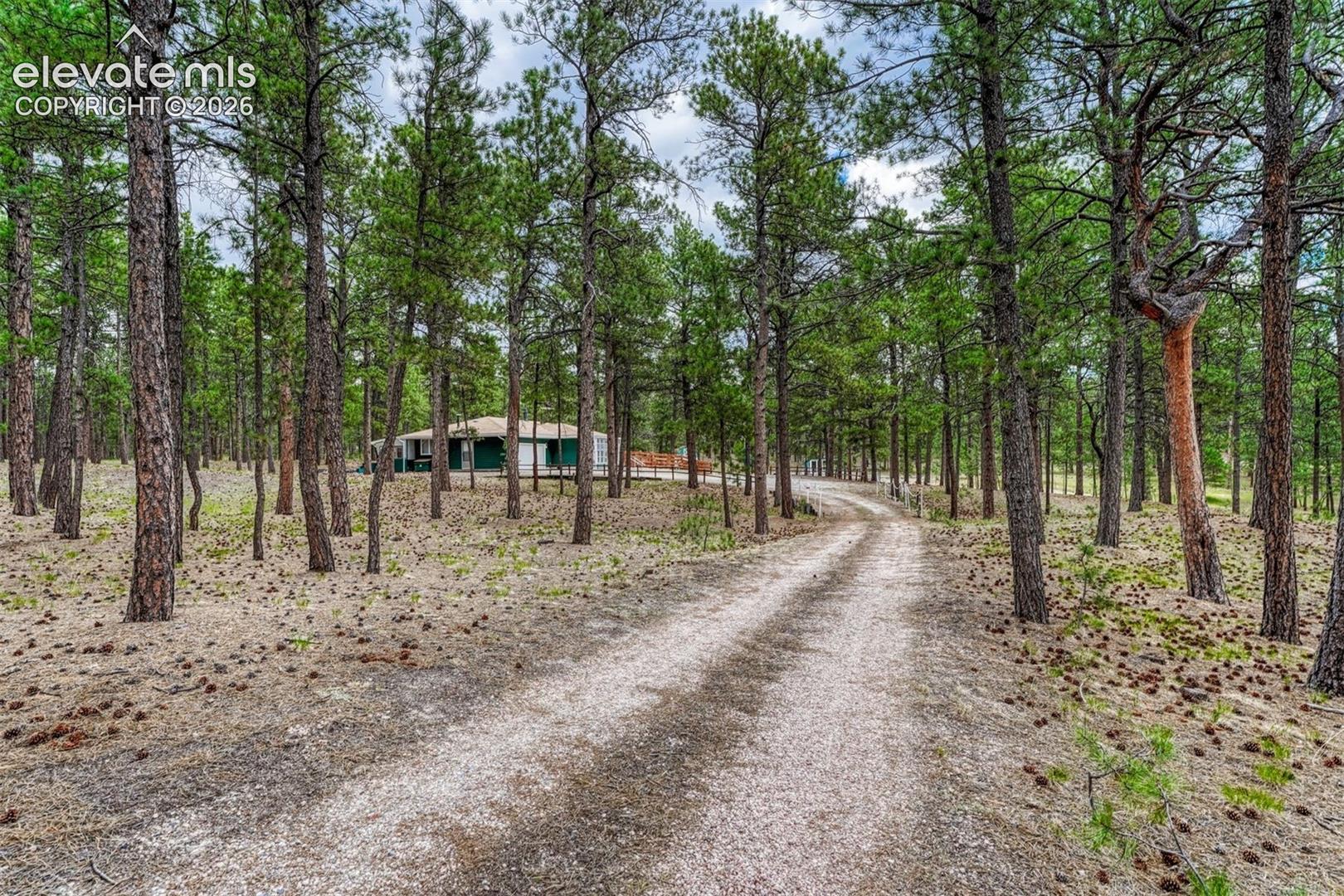 Photo 6 of 9950 Pine Park Trail, Colorado Springs