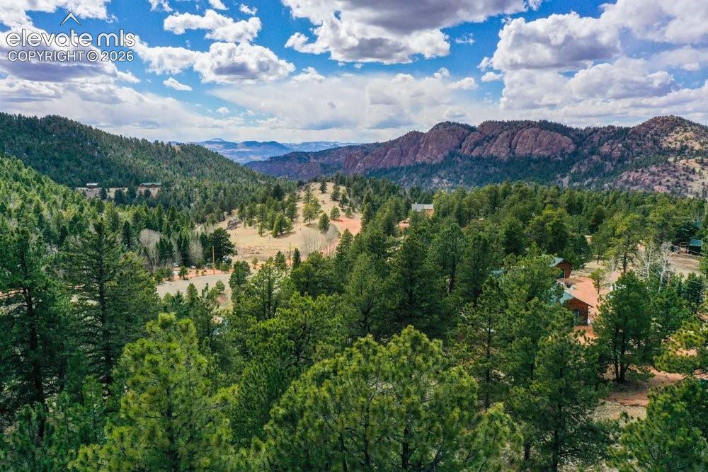 View of mountain feature featuring a view of trees