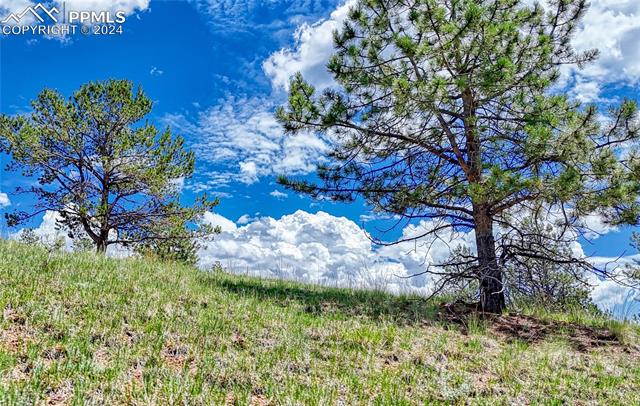 Photo 7 of 24 Wild Horse Circle, Cripple Creek