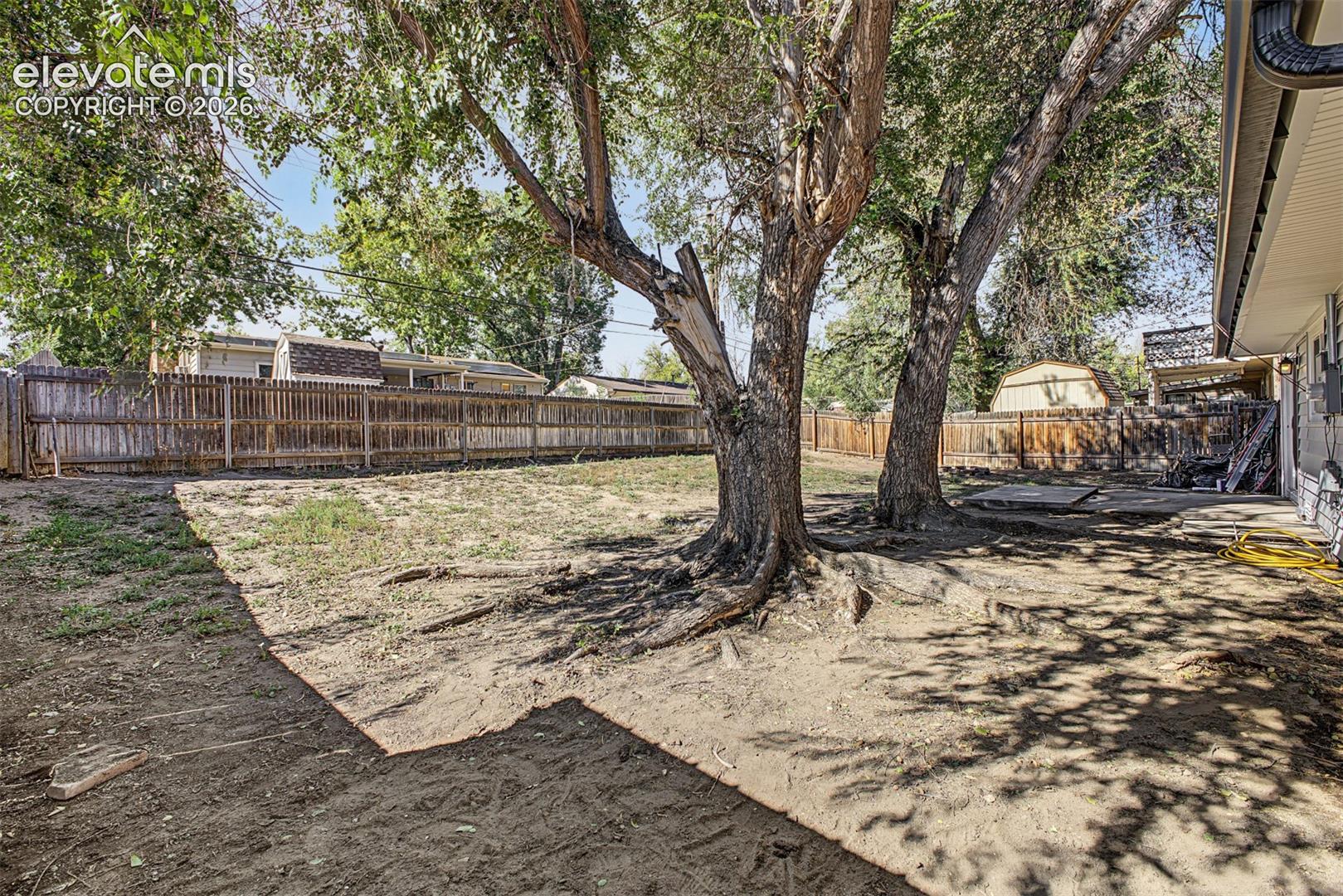 Two Large Trees Provide Shade in Summertime