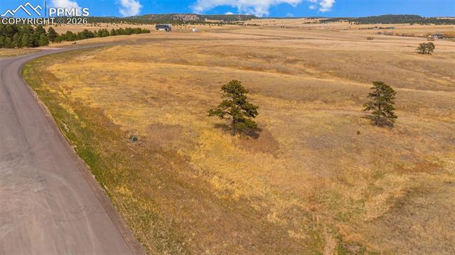 Photo 6 of 10230 Alamar Way, Colorado Springs
