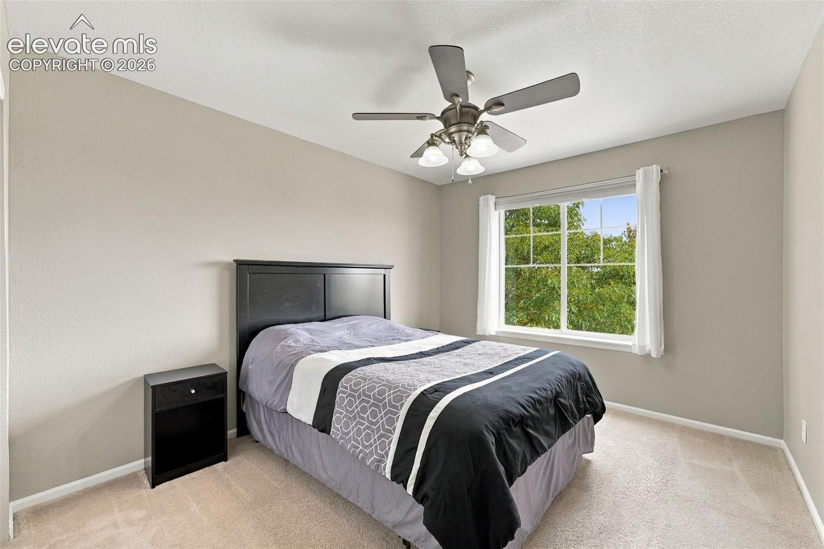 Photo 21 of 6688 Myrtle Creek Drive, Colorado Springs