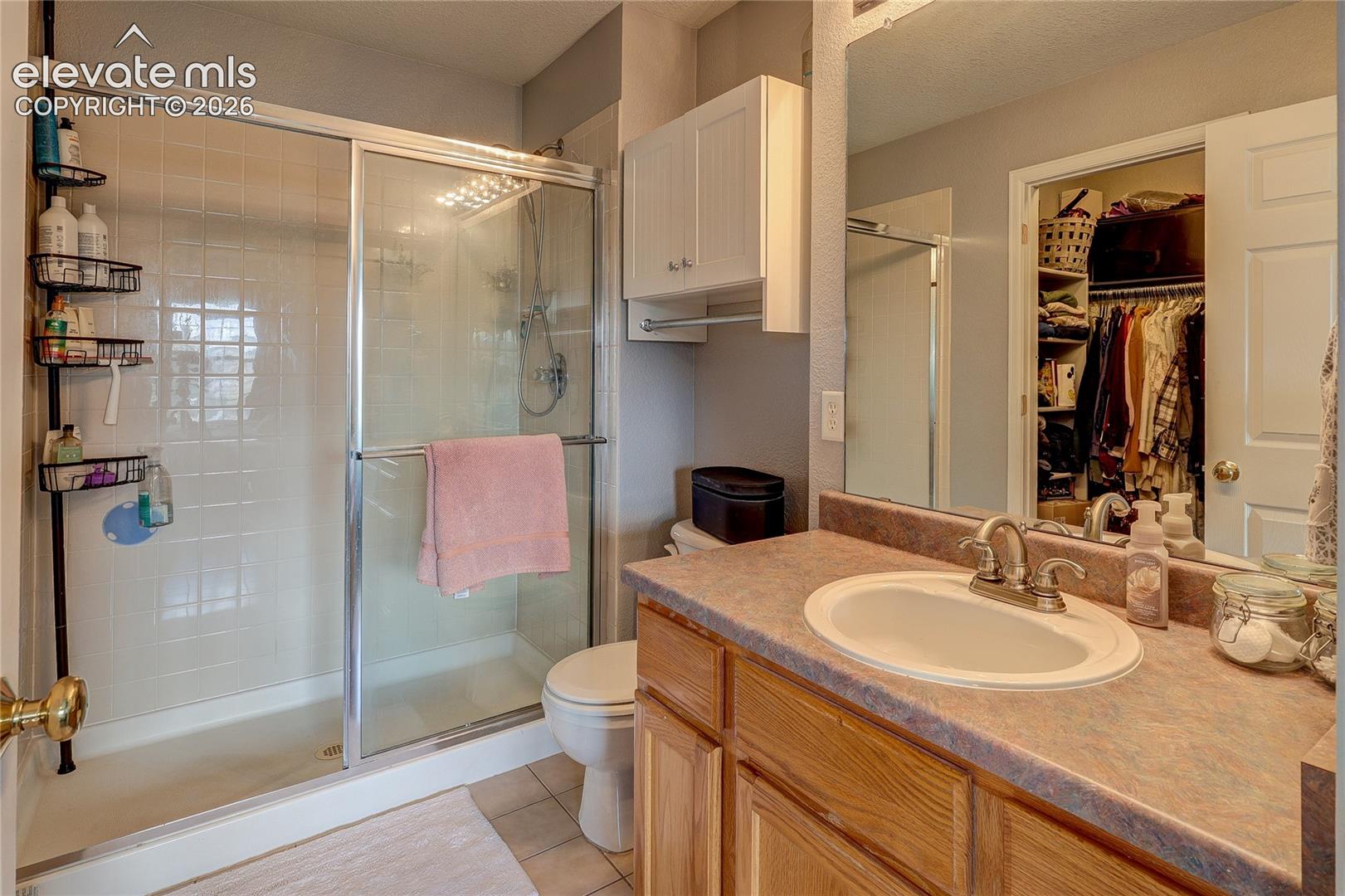 Photo 19 of 1458 Nemrick Place, Castle Rock