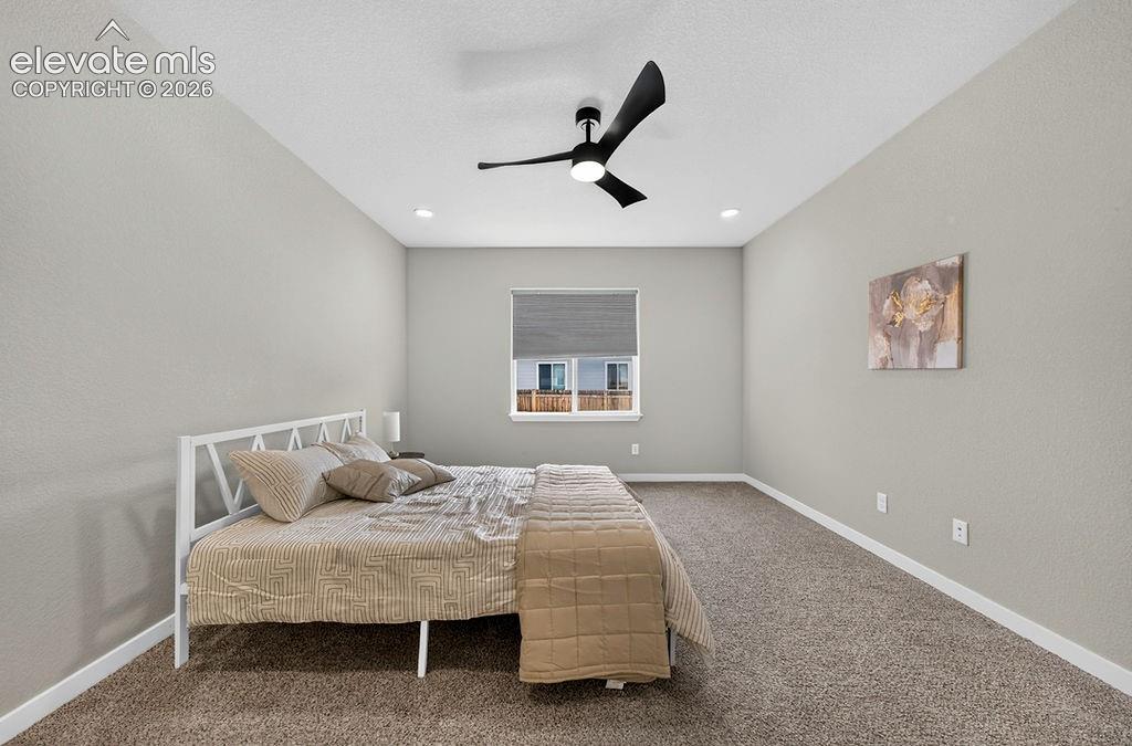 Spacious room featuring neutral carpeting, light gray wall paint, and white trim