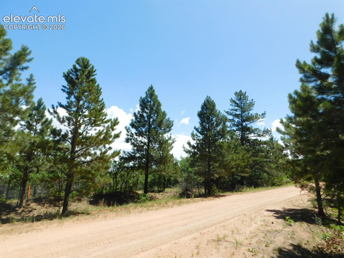 Photo 14 of 6447 Thunderbird Road, Larkspur