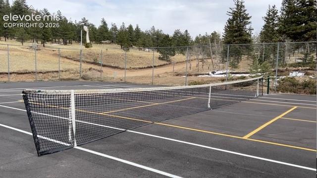 Community pickle ball/tennis courts