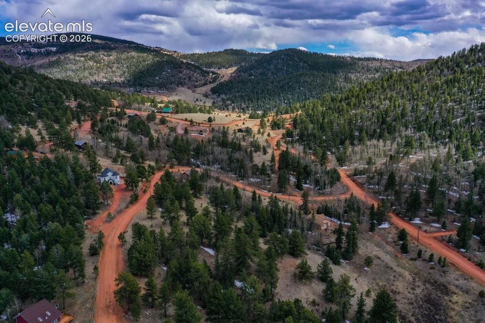 Drone / aerial view featuring a wooded view and a mountain view