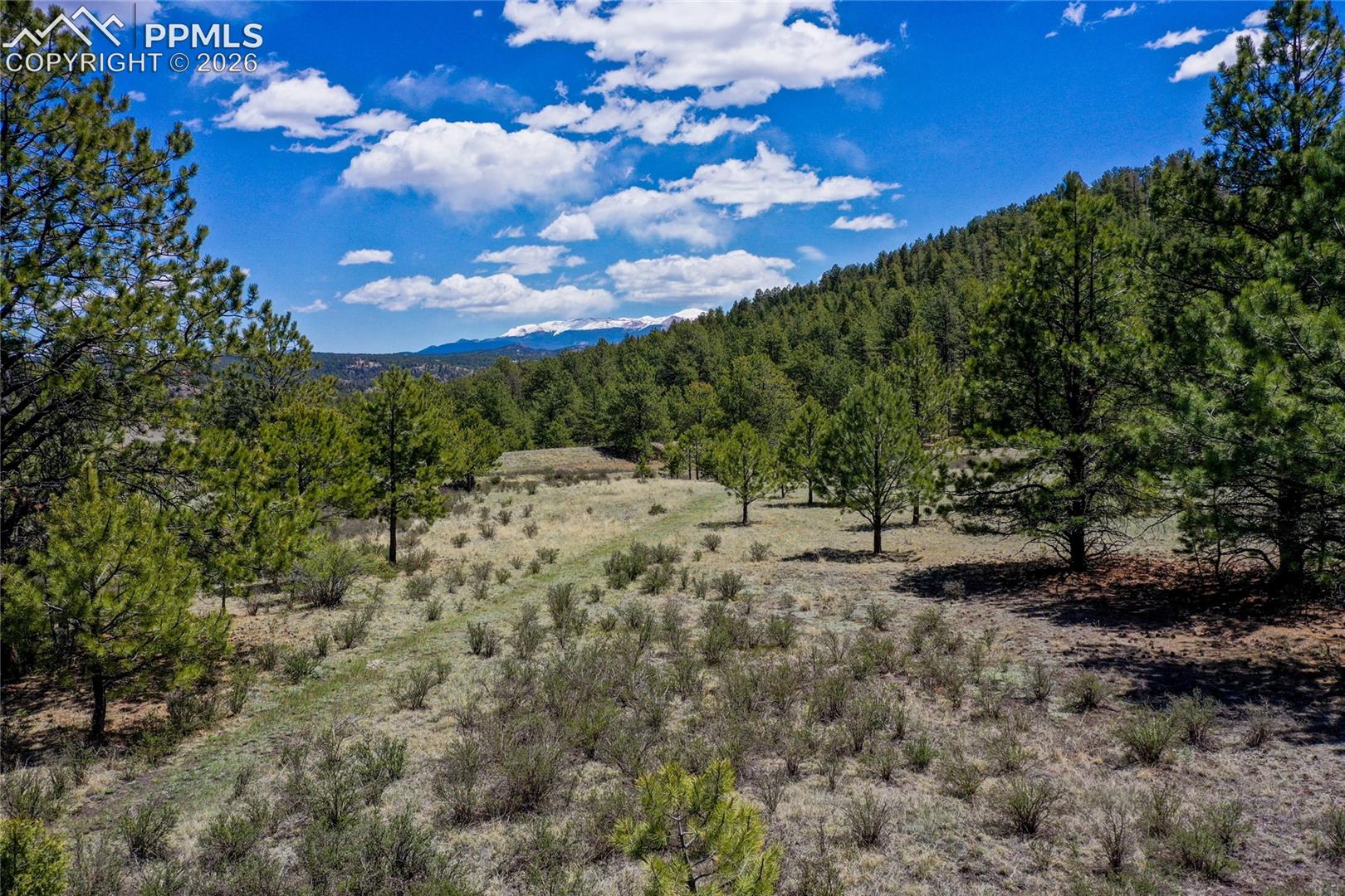 Lace up those hiking boots, its time to walk these acres!