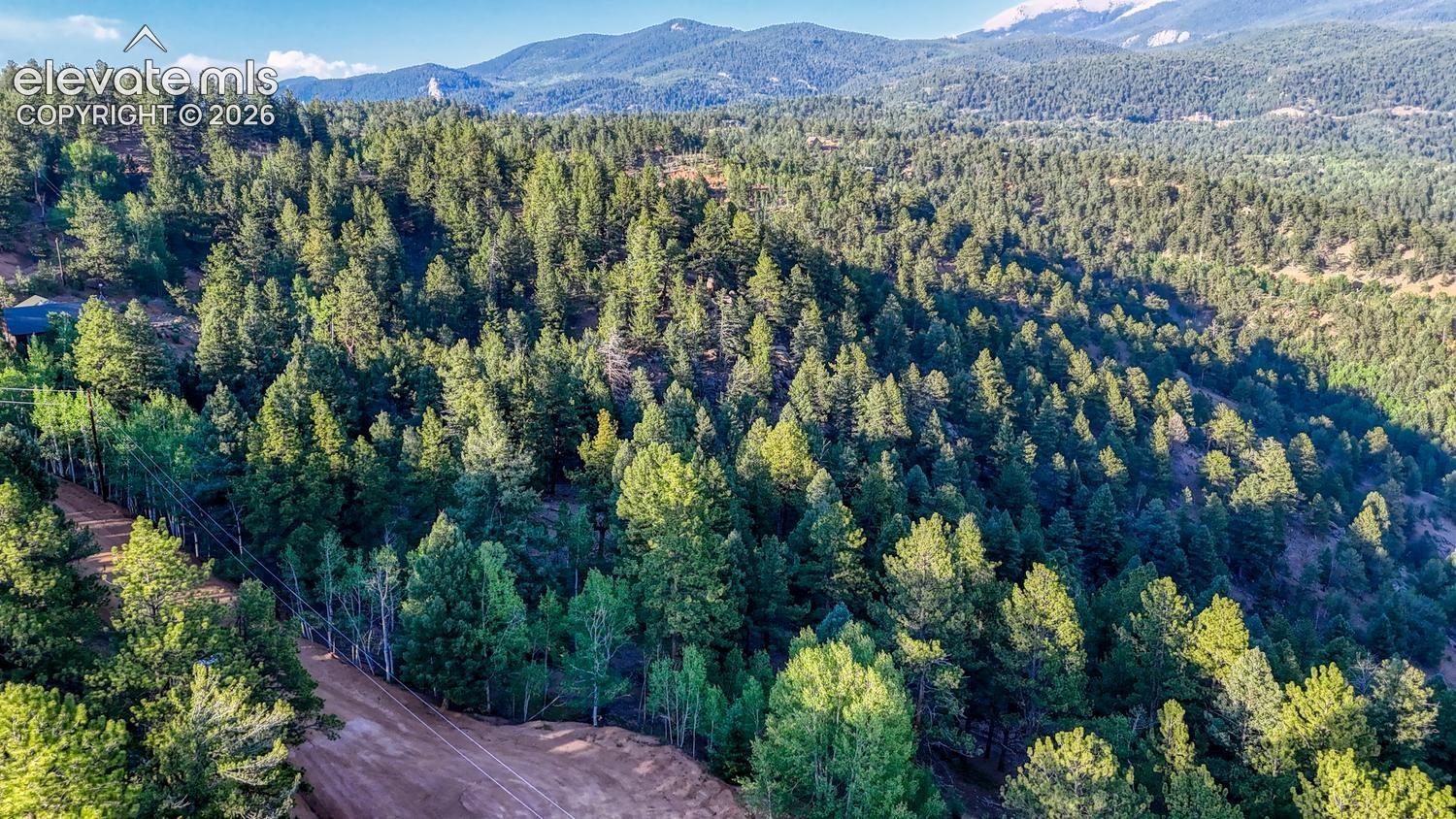 364 Blue Spruce Rd, Divide, CO 80814