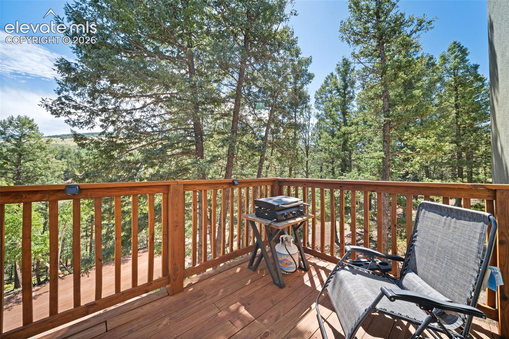 Main leve deck