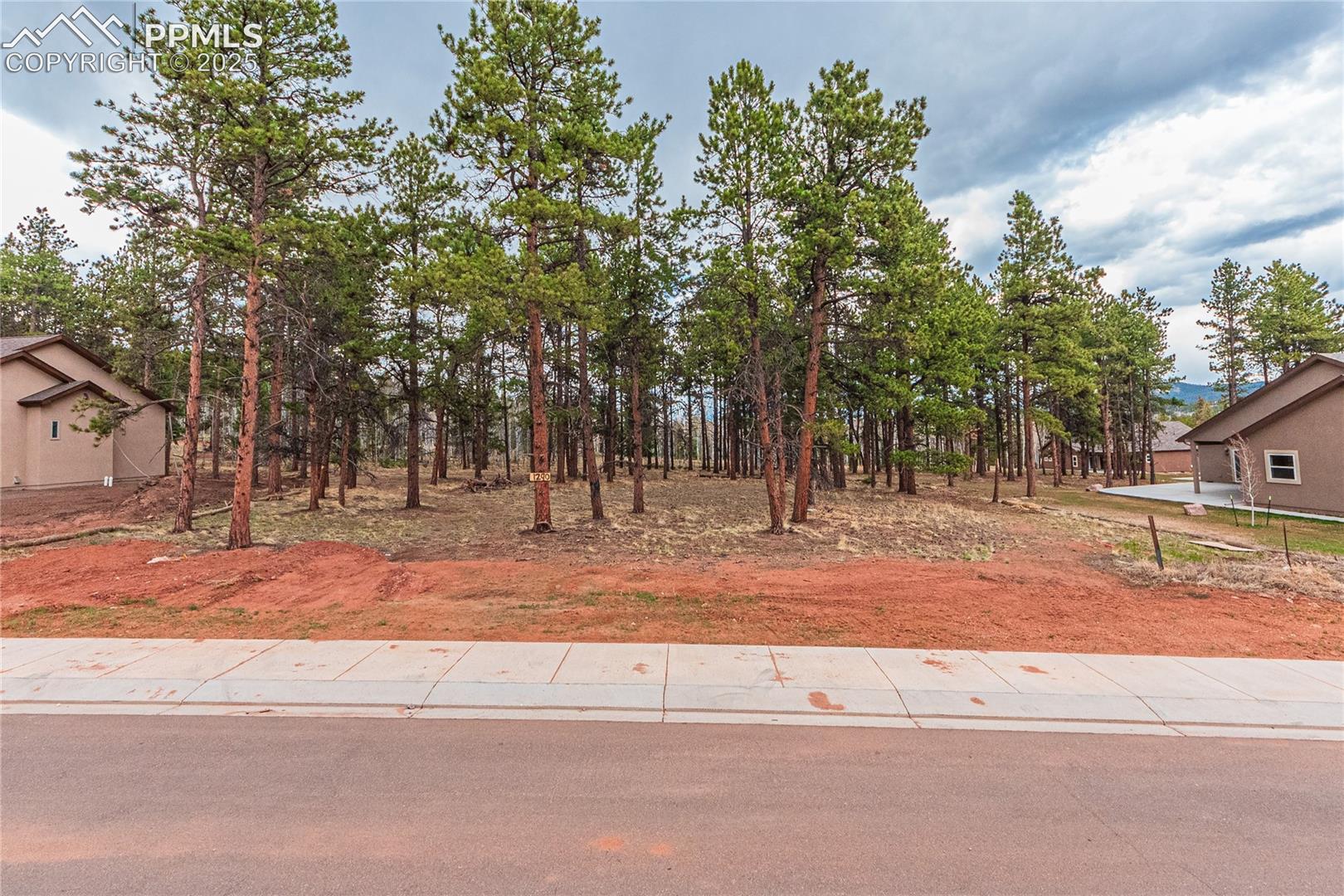Photo 7 of 1290 Firestone Drive, Woodland Park