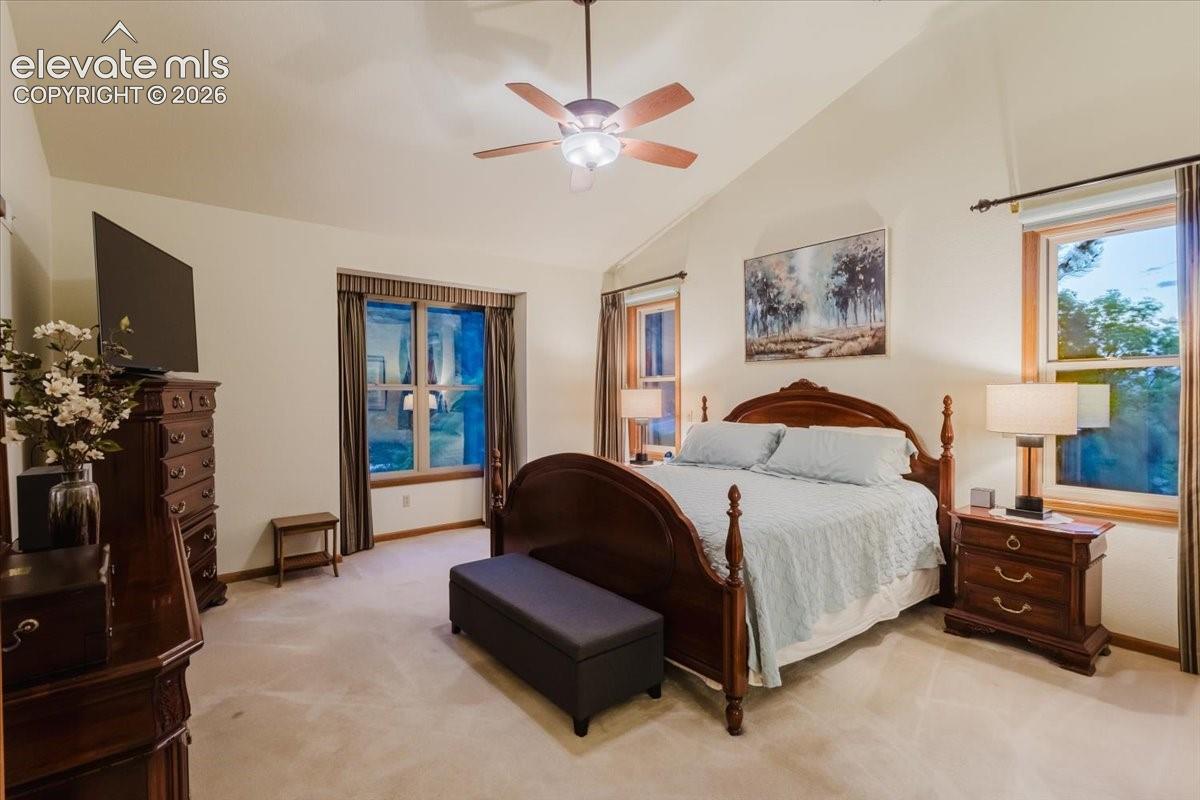 Vaulted ceiling with a ceiling fan, two large windows with wood trim, wall-to-wall carpeting, and neutral wall paint