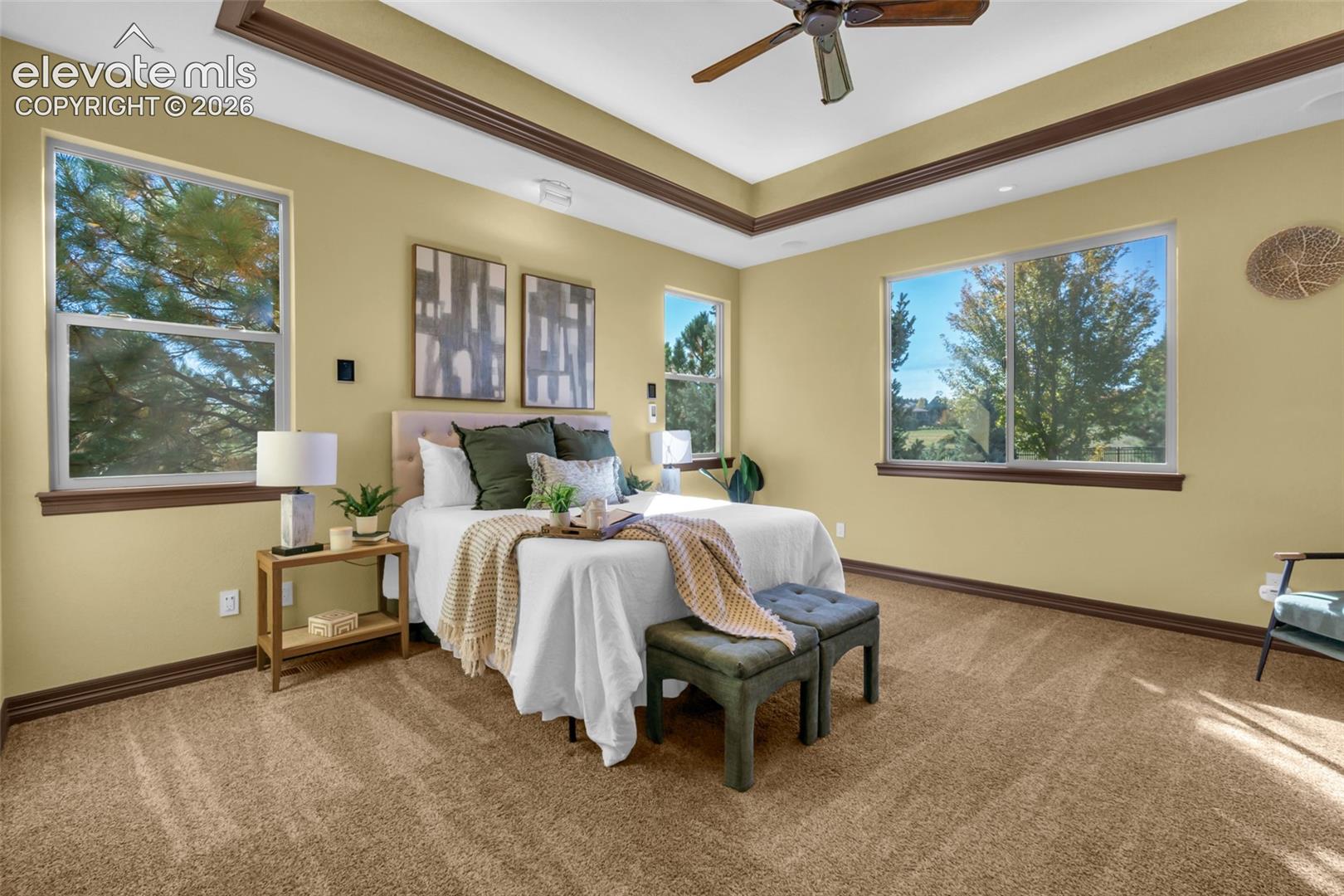 Tray ceiling with crown molding, ceiling fan, carpeted flooring, and oversized windows providing natural light