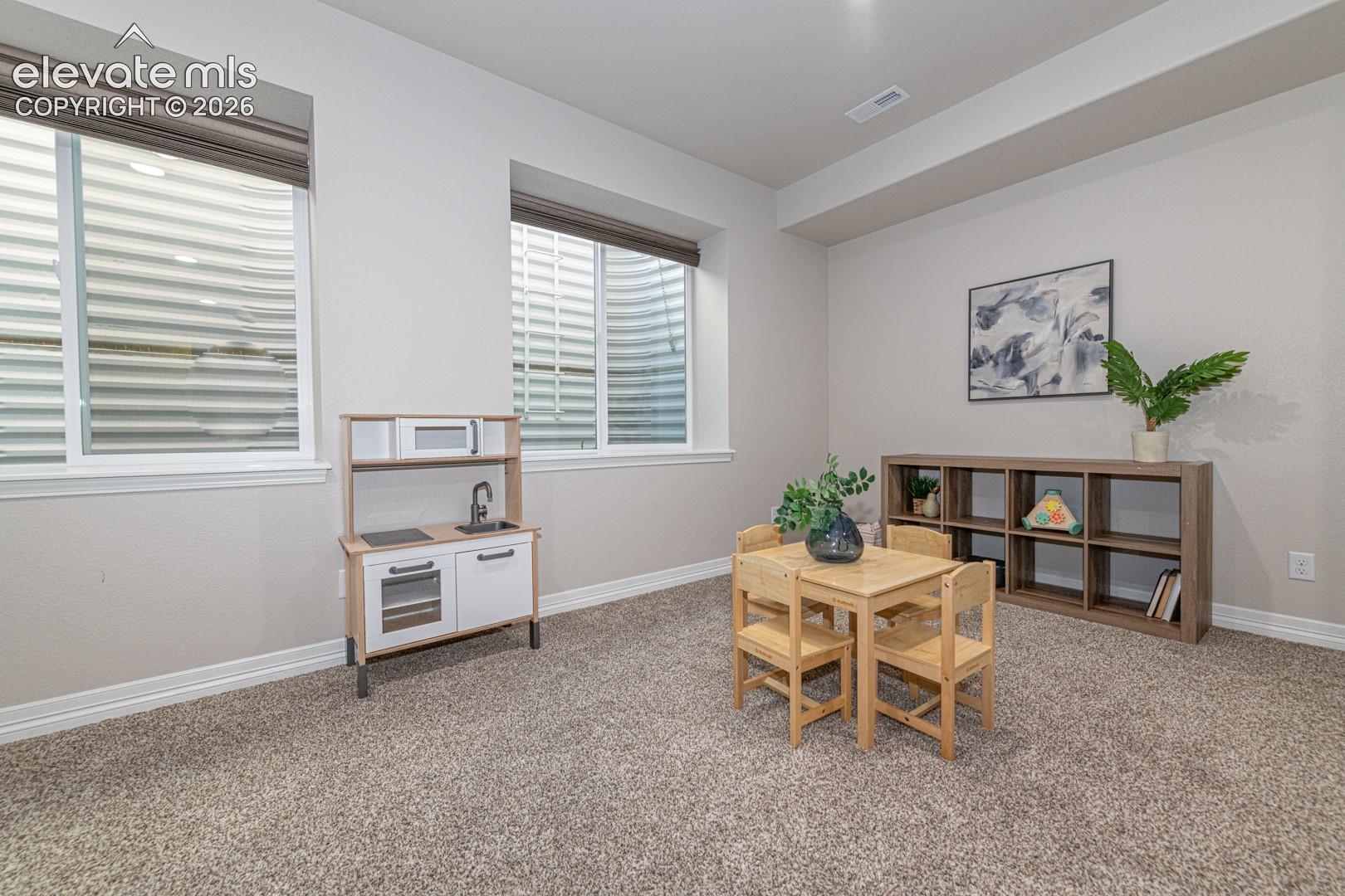 Basement Family Room