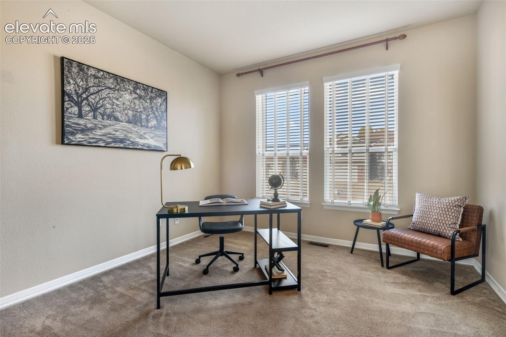 Dual windows with blinds, neutral wall tones, and carpet flooring