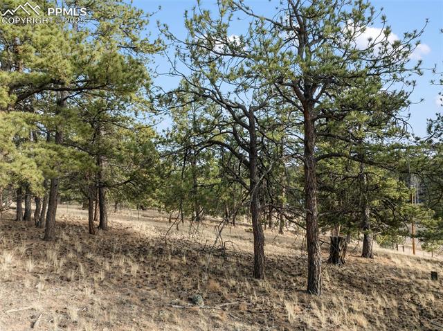 View of undeveloped land