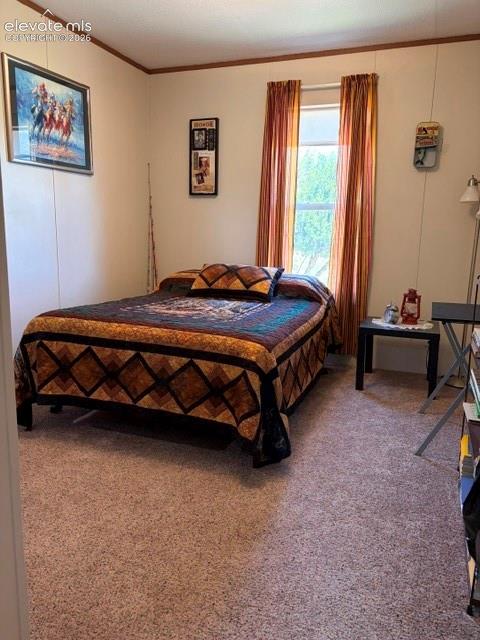 1st bedroom, carpeted
