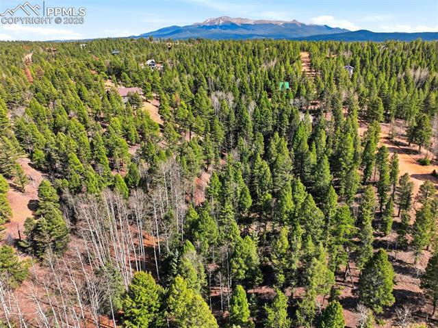 278 Cherry Lake Dr, Divide, CO 80814