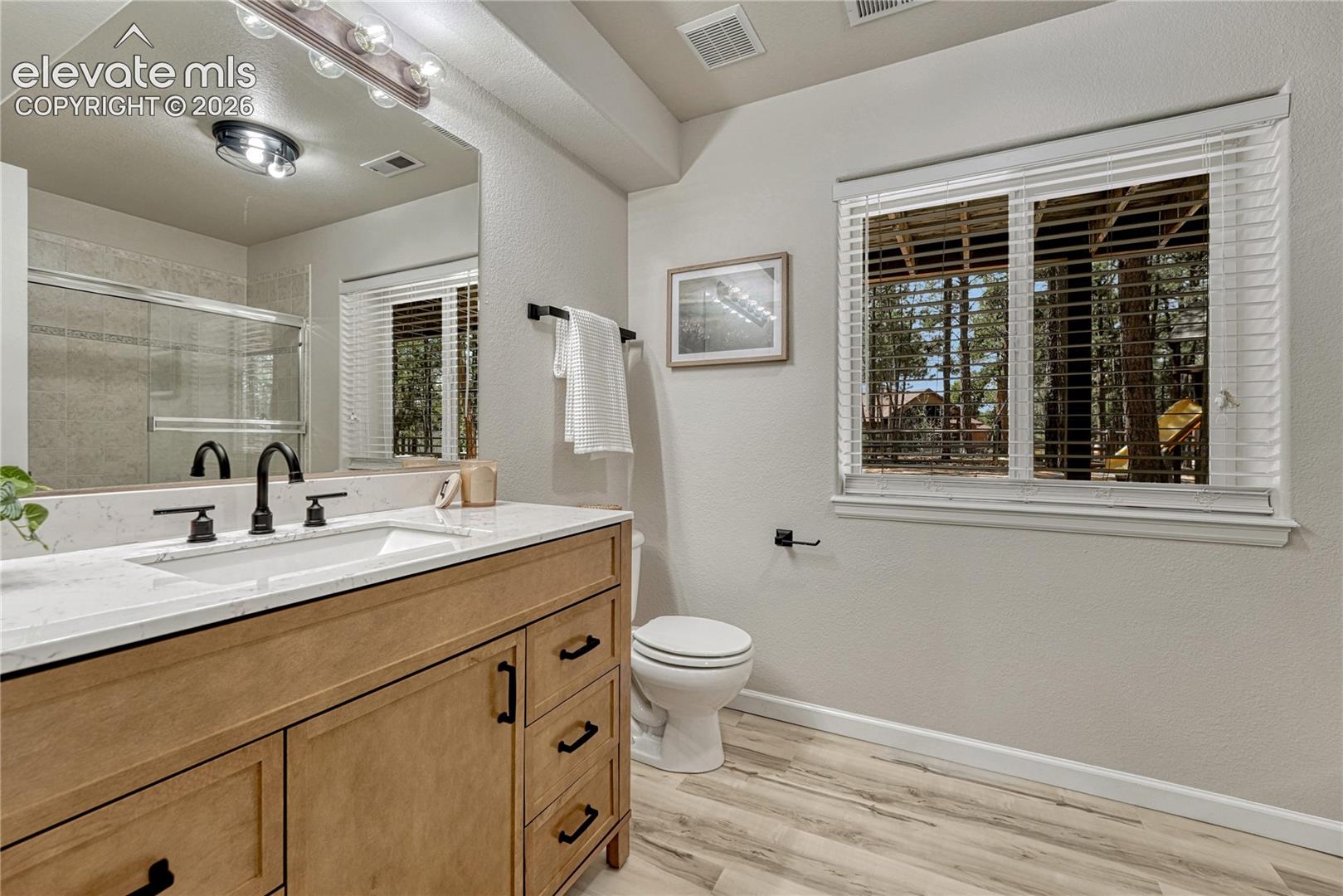 Full basement bathroom...