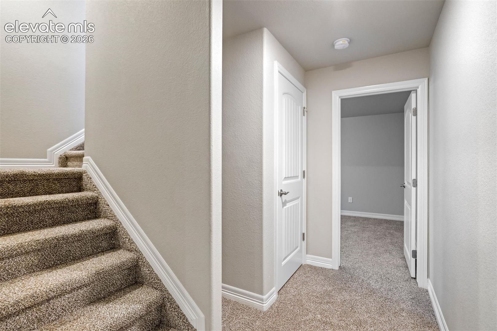 Carpeted staircase with white trim, leading to a hallway featuring neutral-toned walls and white paneled doors