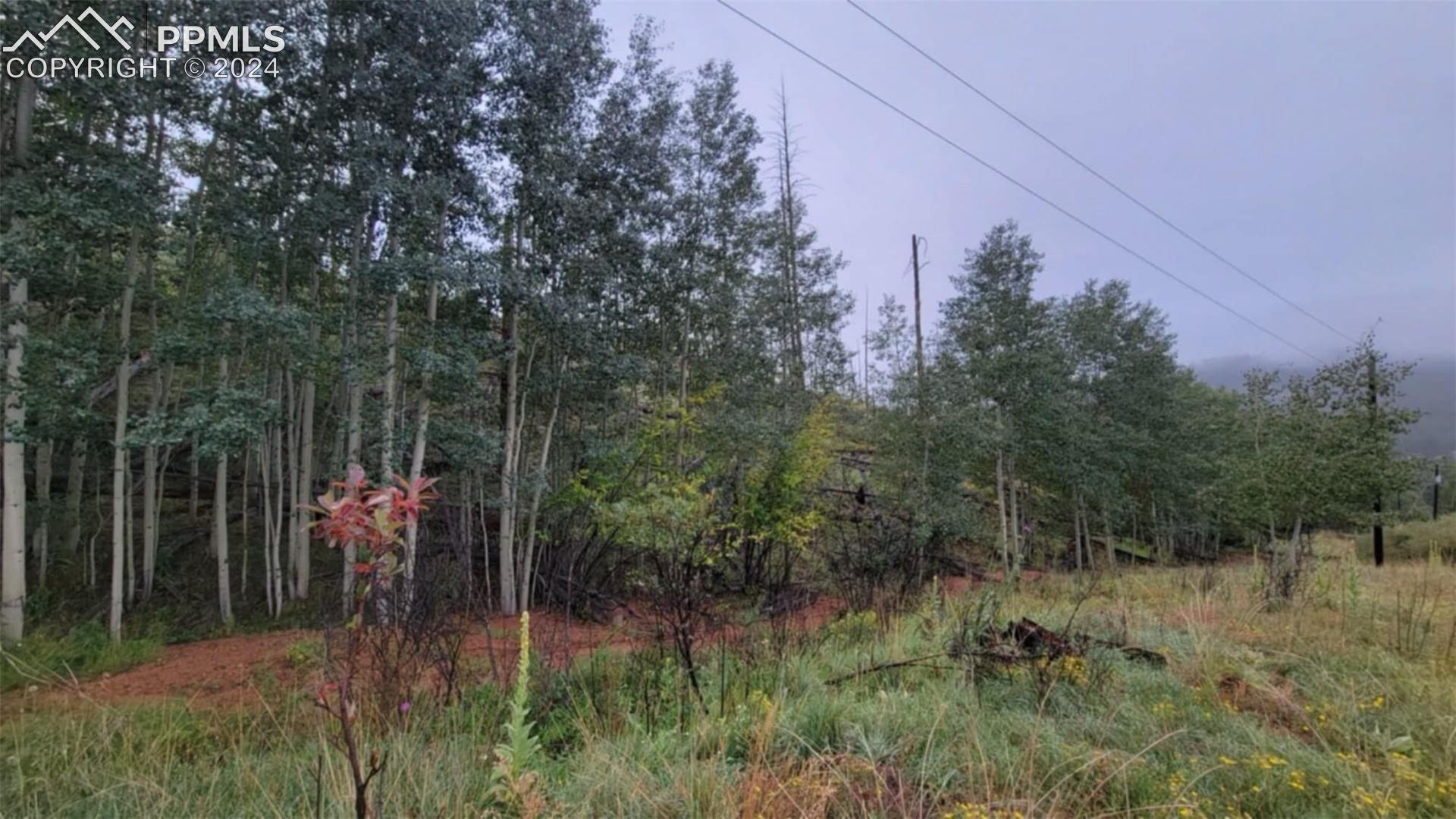 Photo 15 of L1 B4 Columbine Circle, Woodland Park