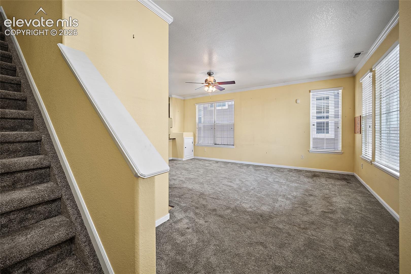 Photo 7 of 6585 Baytree Grove, Colorado Springs