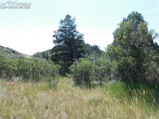 Photo 14 of 5967 Country Club Drive, Larkspur