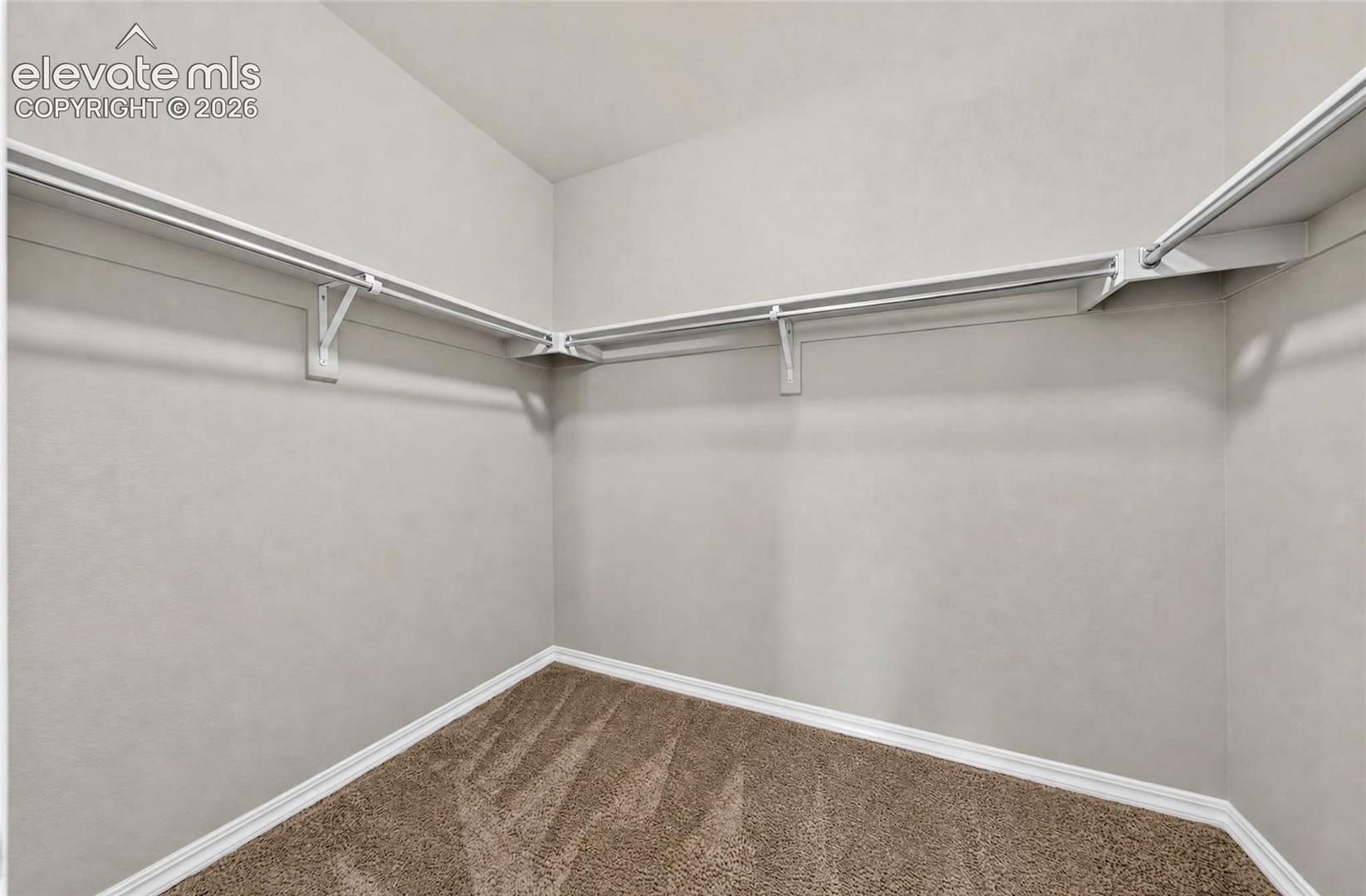 Walk-in closet featuring carpet flooring, and built-in white wire shelving and hanging rods