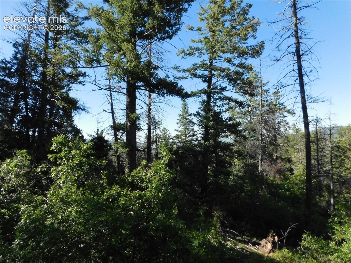 Photo 6 of Lot 11 Cheyenne Drive, Larkspur